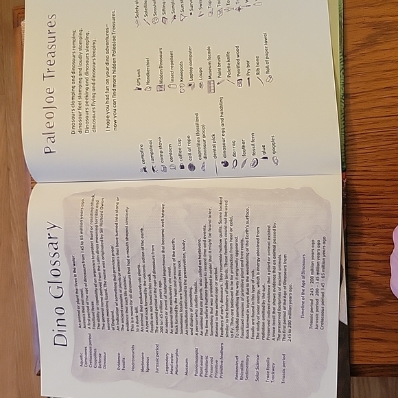 ● Kid's Book: "Hidden Dinosaurs" | EUC - Picture 16 of 16